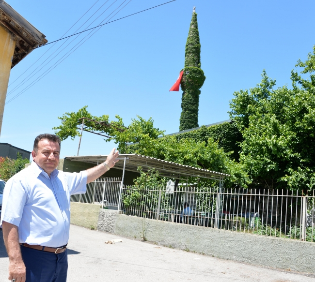 Sarmaşıkların yeşile bürüdüğü yer: Köprüköy Camii